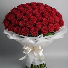 Букет 101 Красная роза Блэк Мэджик в Зелёную Поляну