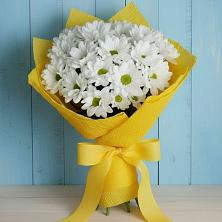 Букет цветов из:  Хризантемы в Зелёную Поляну