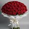 Букет 101 Красная роза Блэк Мэджик в Зелёную Поляну