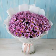 Букет цветов из:  Хризантемы в Зелёную Поляну