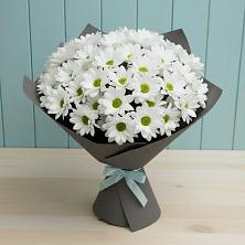 Букет цветов из:  Хризантемы в Зелёную Поляну