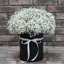 Цветочная композиция из Гипсофила в шляпной коробке #REPLACE_PRED# Зелёную Поляну