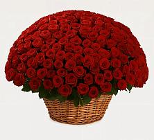 Премиум букет из: Розы в Зелёную Поляну