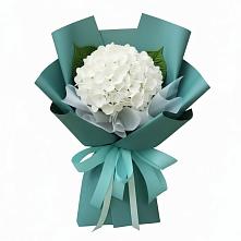 Букет цветов из:  Гортензия в Зелёную Поляну